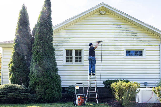 Professional Pressure Washing Services in Oneonta, NY